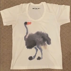 Marni Cotton T shirt